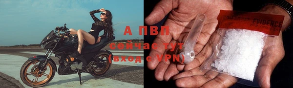 spice Елизово