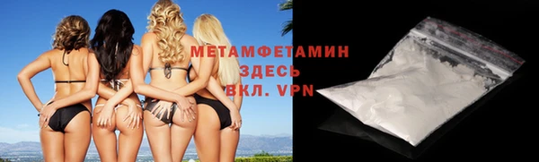 сатива Елабуга