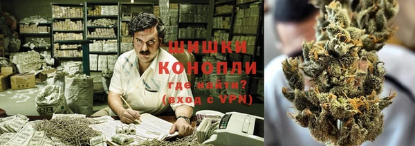 спайс Ельня