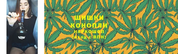 сатива Елабуга