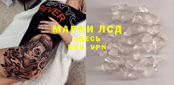 сатива Елабуга