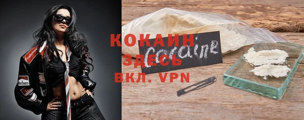 сатива Елабуга