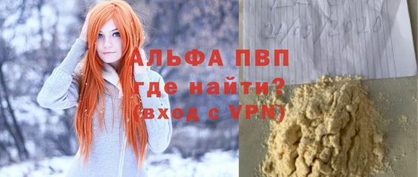 сатива Елабуга