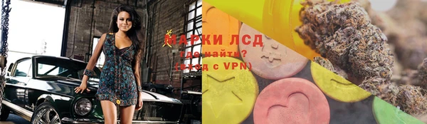 spice Елизово