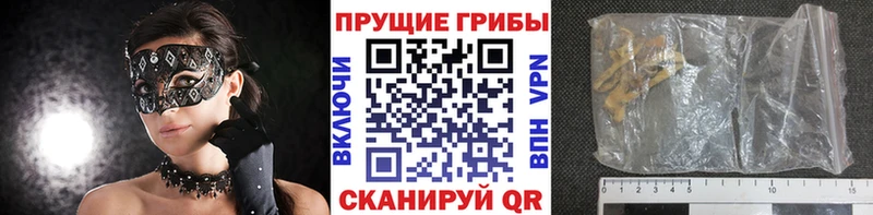 Галлюциногенные грибы мицелий  Купить  Кинешма 